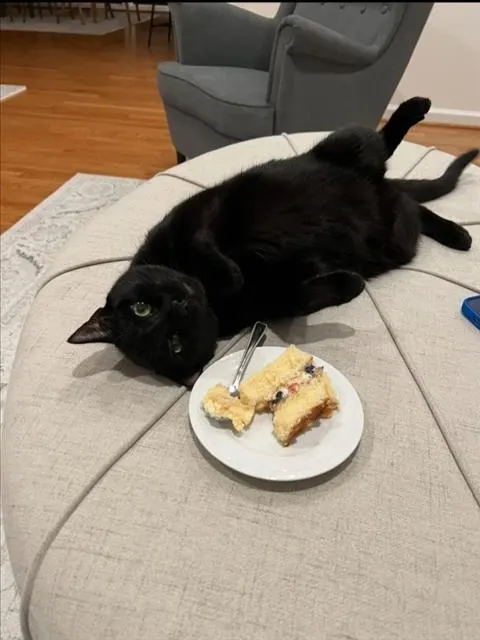 *Baklava