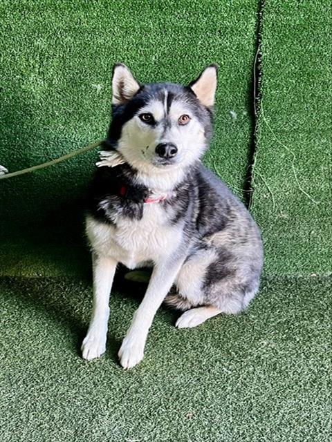 Luna