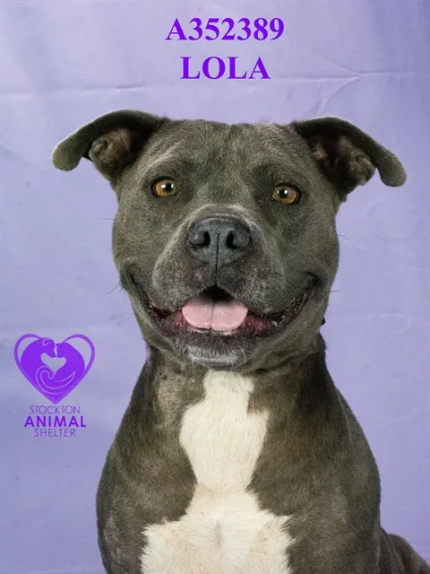 Lola