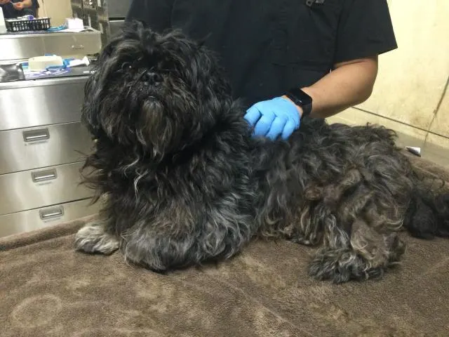 Quincy