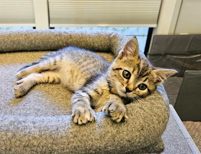 Bonnie