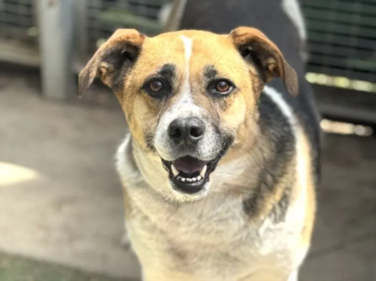 Winnie