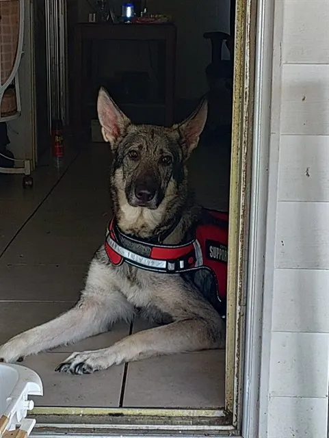 Maximus "Max"