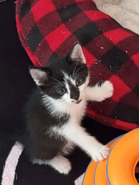 Benson Boone