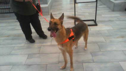 Booker