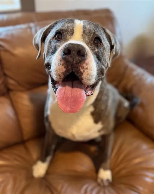 Benson