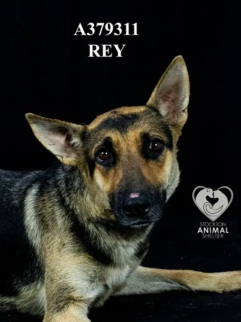 Rey