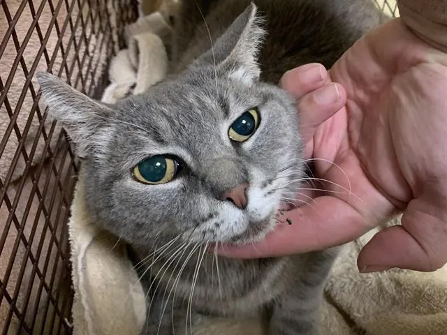 Margaret