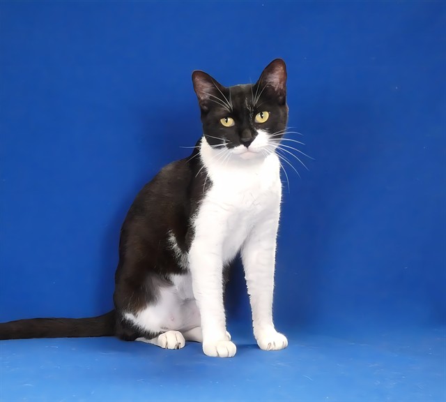 Mimi