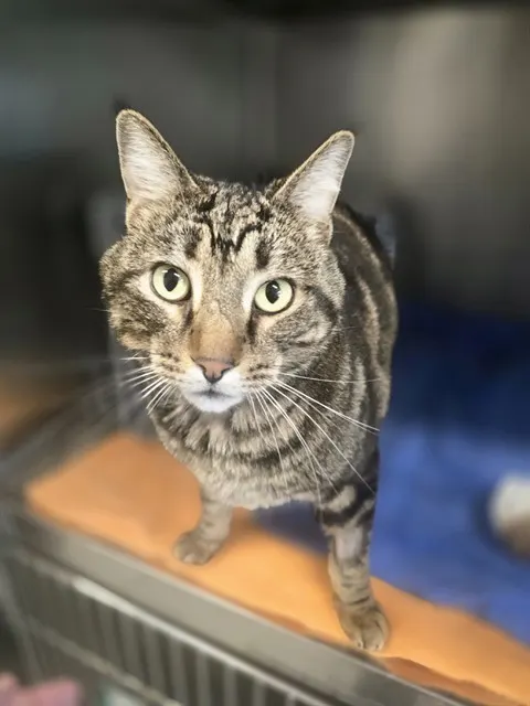 Gus