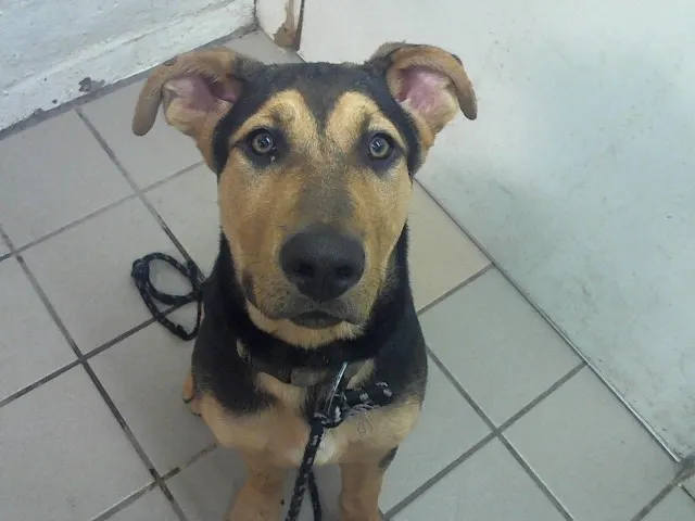 Mitsy