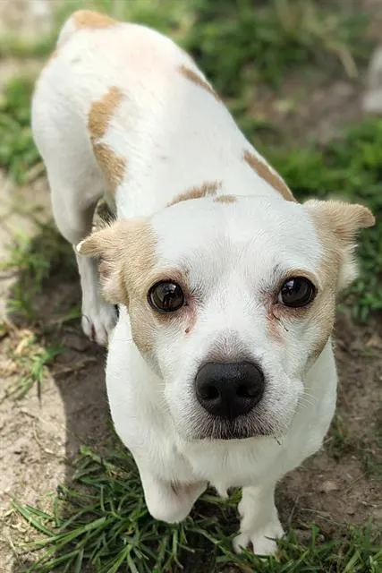 Tucker