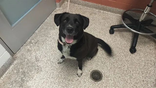Maggie