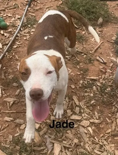 Jade