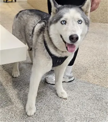 Max