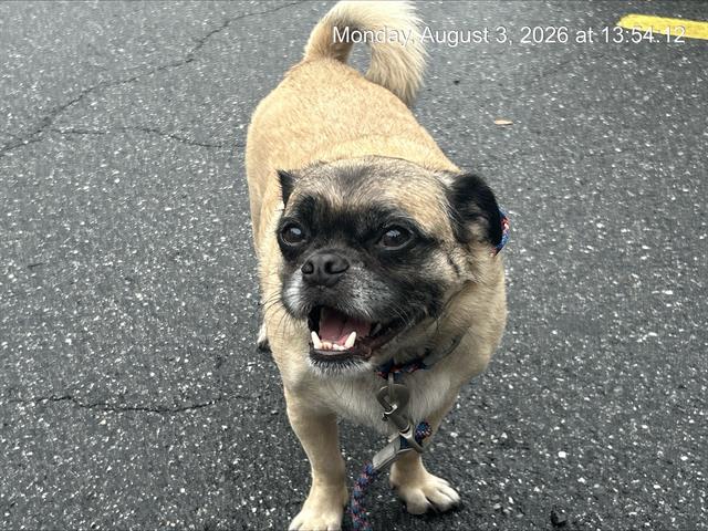 Chewy