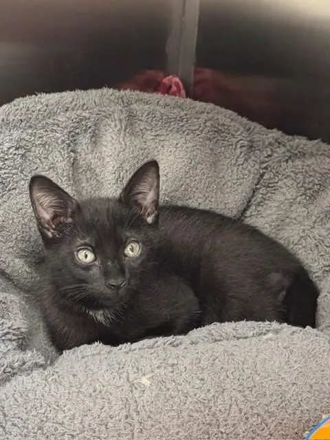 George