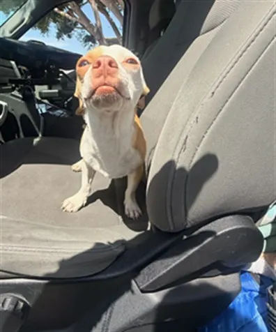 Cool Guy
