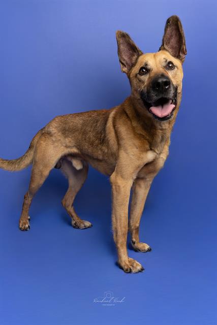 Zeke