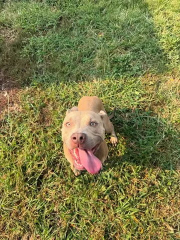 Lola