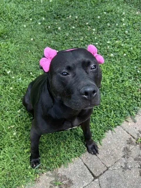 Luisa