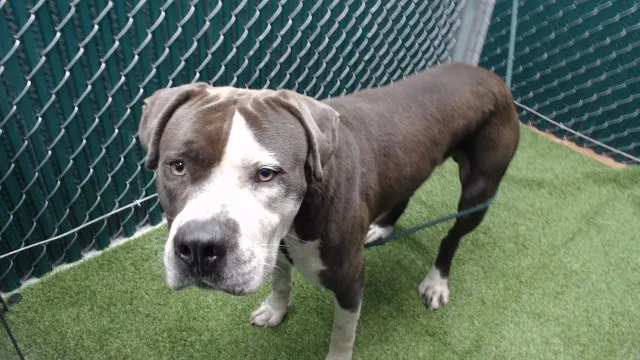 Benny