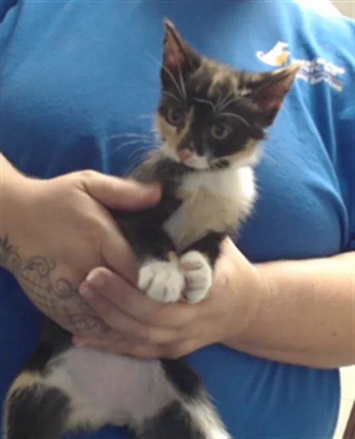 Suzie