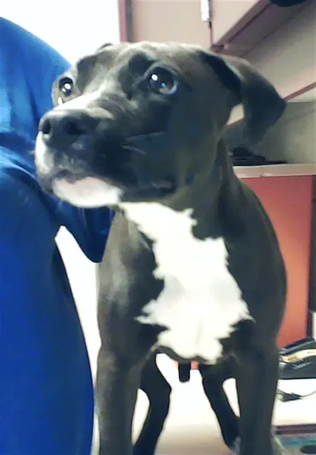 Jax