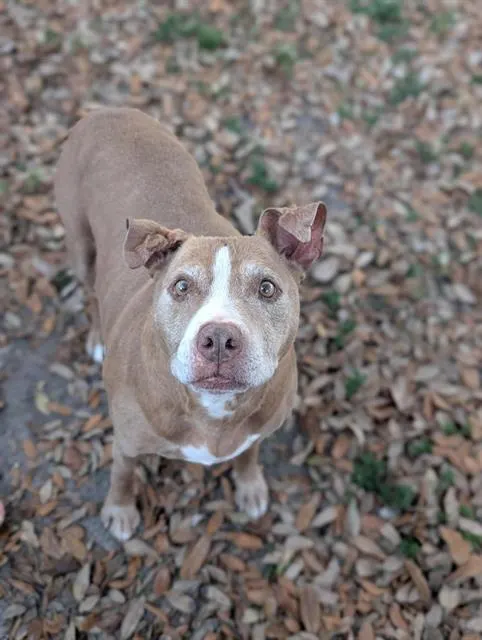 Kaya