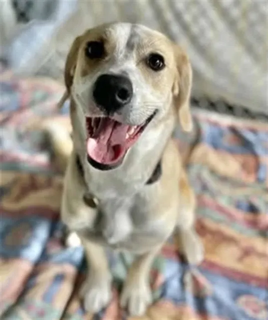 Molly