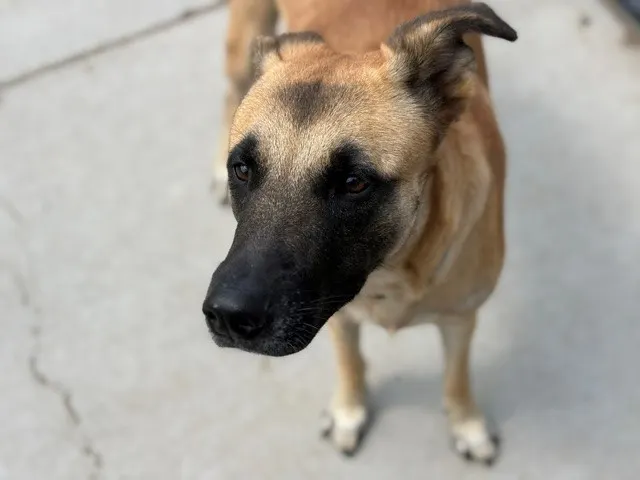 Spud