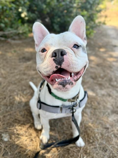 George