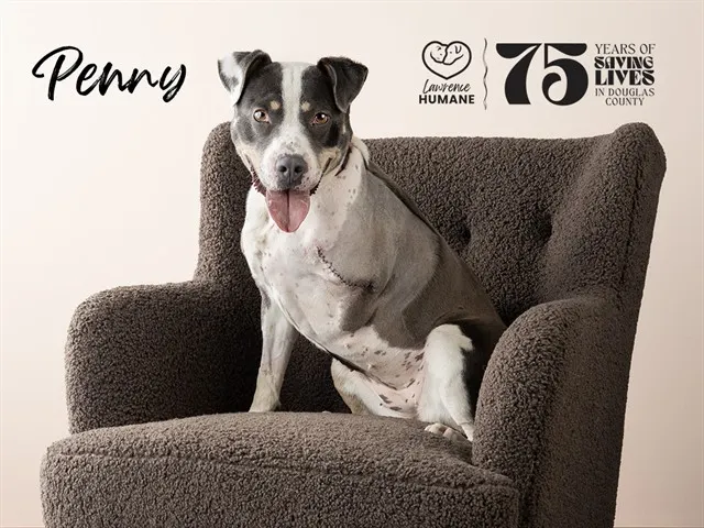 Penny