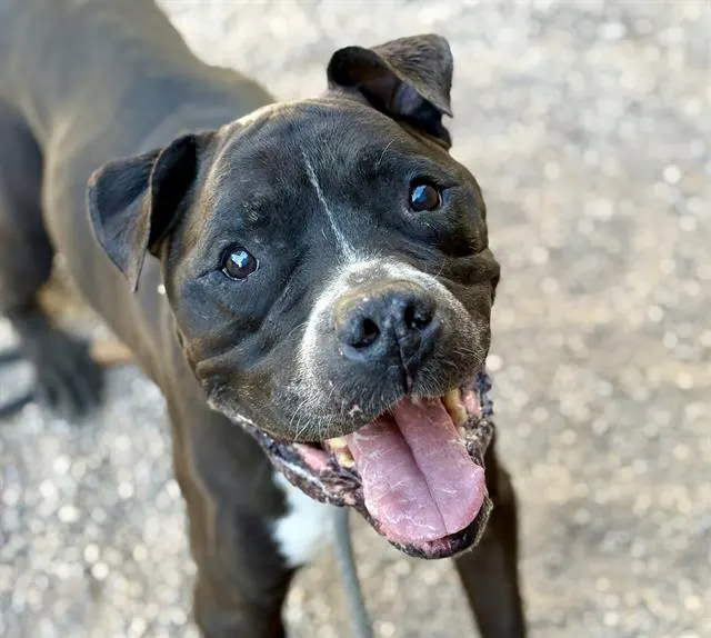 Roscoe