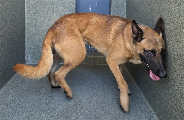 Max