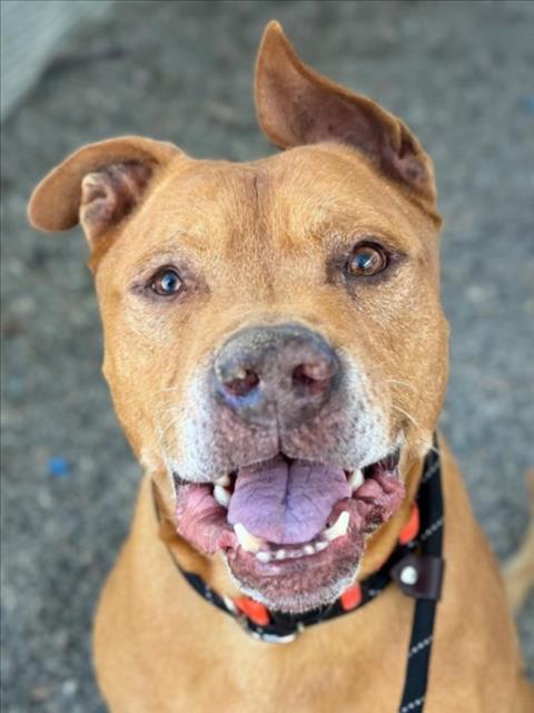 *Clifford