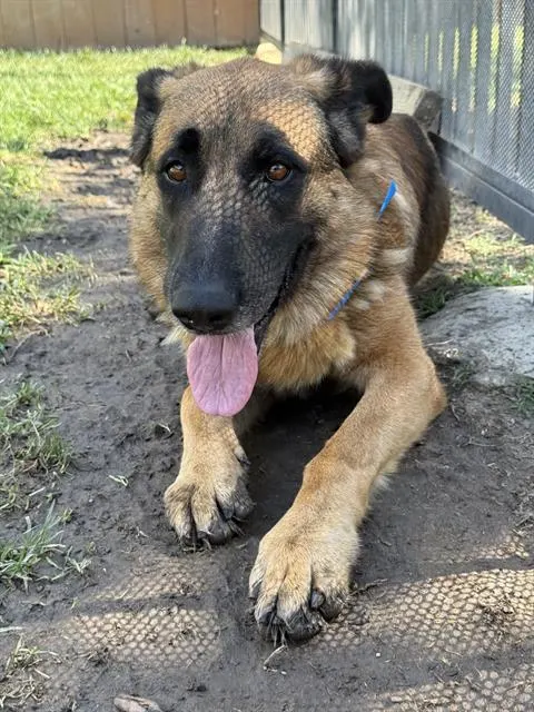 Sam