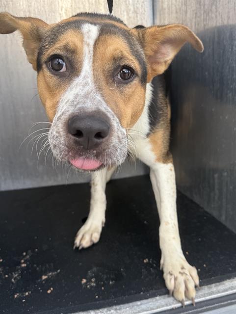 Marco