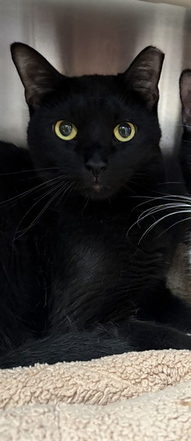 Benicio