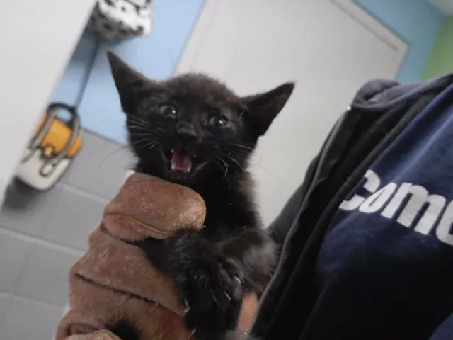 Tina