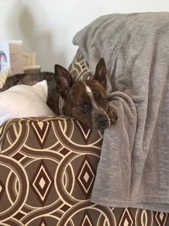 Millie