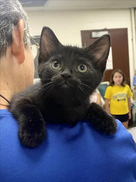 Benito