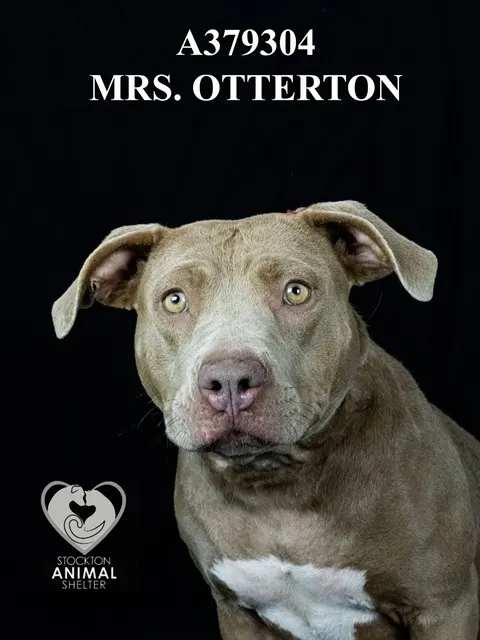 Mrs.Otterton