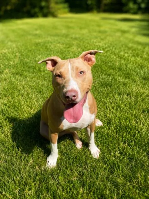 Jax