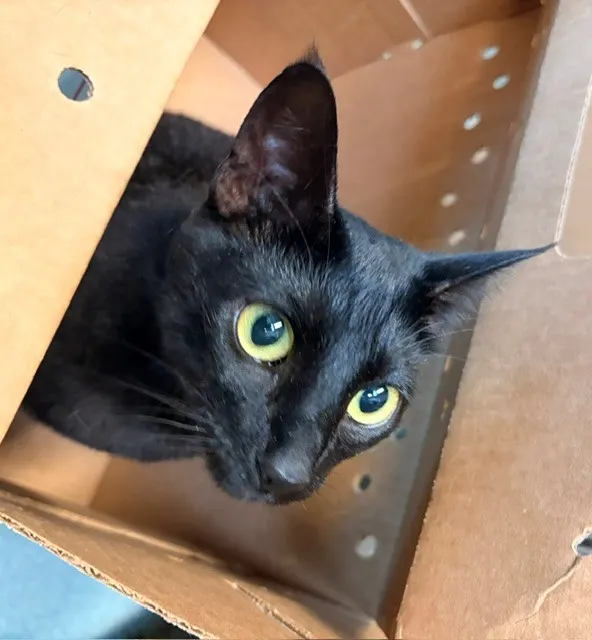 Luna