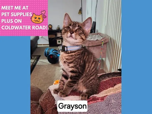 Grayson