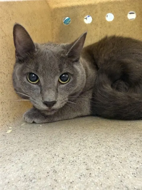 Luna