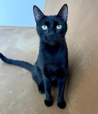 Luna