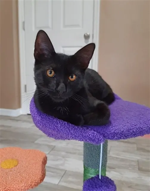 Benny