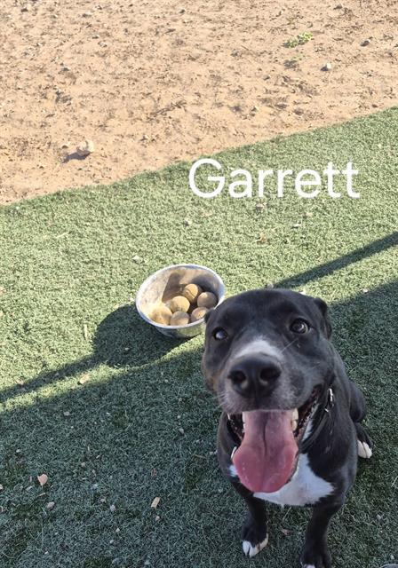 Garrett
